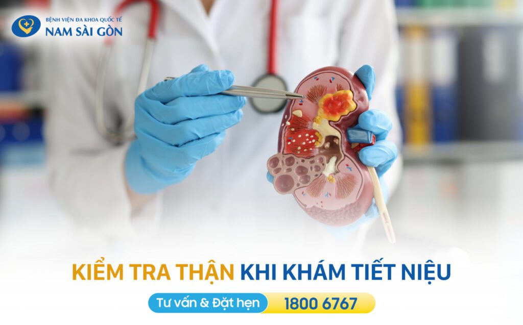 khám thận khi khám tiết niệu