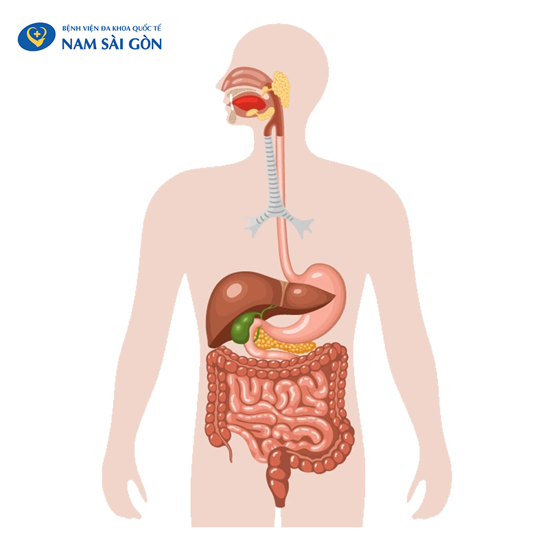 ung thư đường ruột