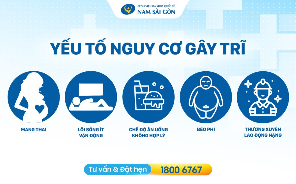 Yếu tố nguy cơ gây bệnh trĩ