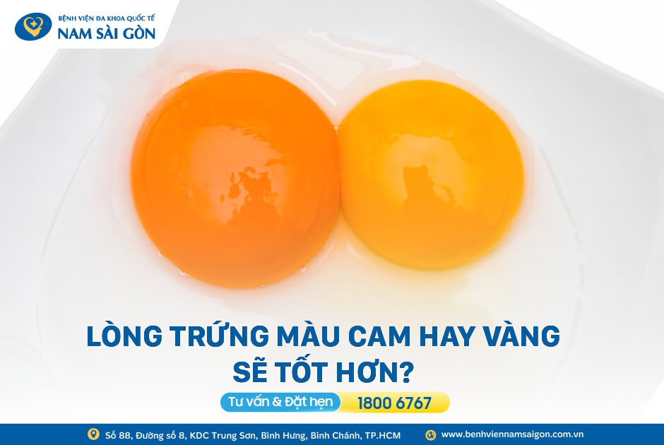 LÒNG TRỨNG MÀU CAM HAY VÀNG SẼ TỐT HƠN?