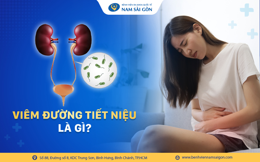 viêm đường tiết niệu là gì