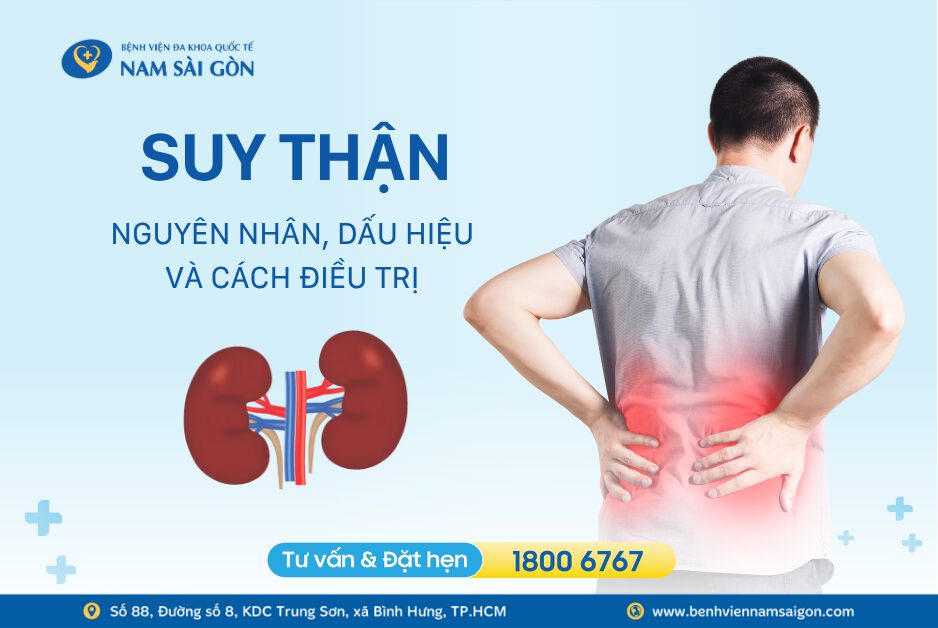 SUY THẬN – NGUYÊN NHÂN, DẤU HIỆU VÀ CÁCH ĐIỀU TRỊ 